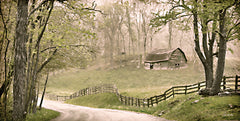 LD3303 - Virginia Countryside - 18x9
