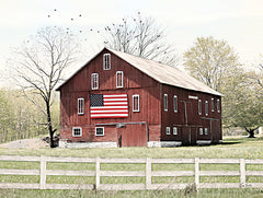 LD3326 - Patriotic Barn   - 16x12