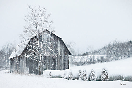 Lori Deiter LD3366 - LD3366 - Snow Day in the Country - 18x12 Winter, Barn, Farm, Photography, Black & White, Haybales, Snow, Field, Landscape, Trees from Penny Lane