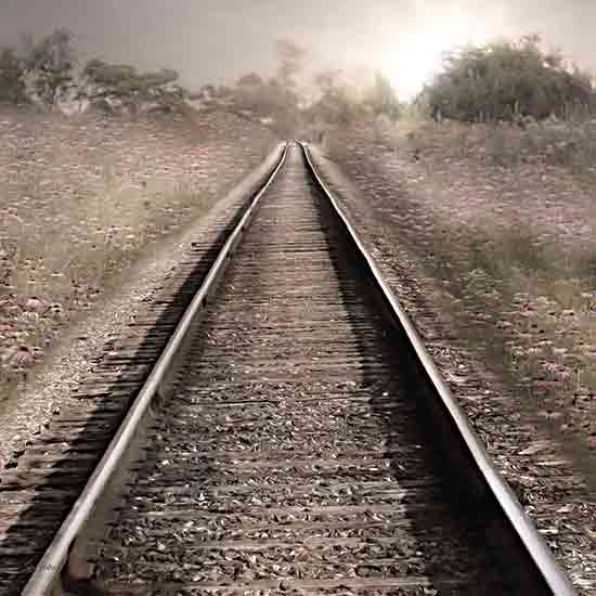 Lori Deiter LD3464 - LD3464 - The Next Stop   - 12x12 Photography, Railroad Tracks, Landscape, The Next Stop from Penny Lane