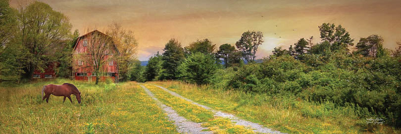 Lori Deiter LD554 - LD554 - Good Grazing - 36x12 Barn, Farm, Horse, Road, Path, Grazing, Photography, Trees from Penny Lane