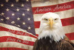 LD711 - American Eagle Flag - 18x12