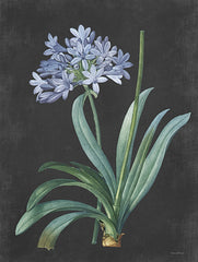 LET472 - Bulb Study - 12x16