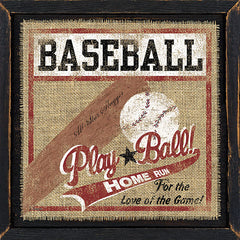 LS1495 - Baseball - 12x12