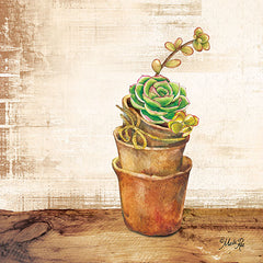 MAZ5267 - Succulents in a Pot - 12x12