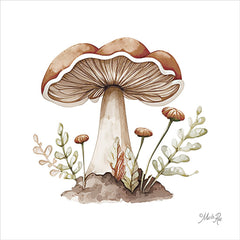 MAZ5964 - Mellow Mushroom - 12x12