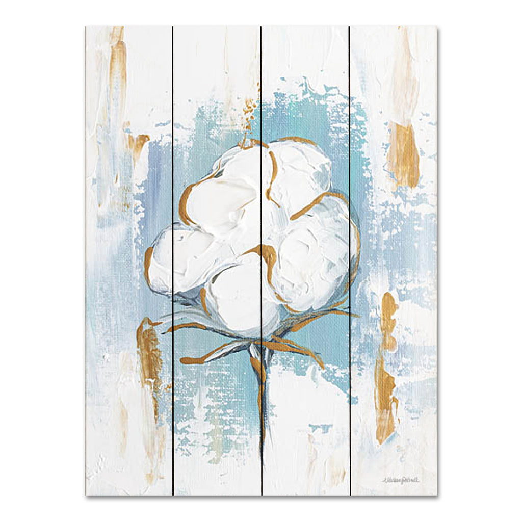 Mackenzie Kissell MKA129PAL - MKA129PAL - Cotton Boll  - 12x16 Nature, Cotton Boll, Farmhouse/Country, Abstract from Penny Lane