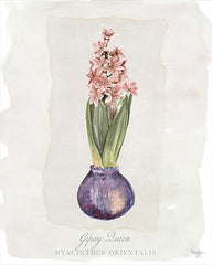 MOL2141 - Hyacinthus Orientalis II - 12x16