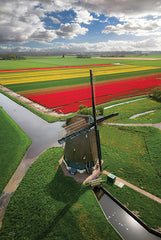 MPP1045 - Dutch Spring - 12x18