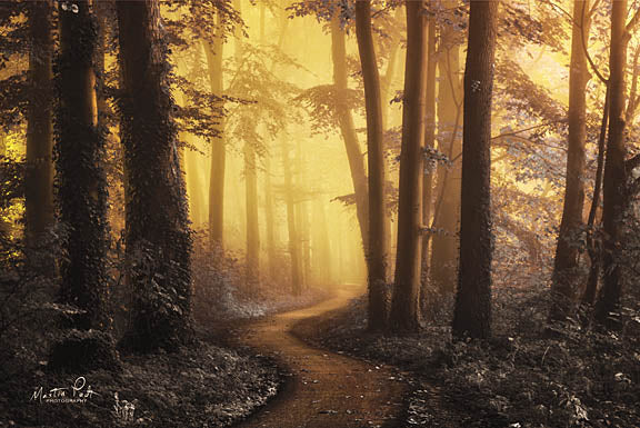 Martin Podt MPP356 - Fever Dreams - Trees, Fog, Path from Penny Lane Publishing
