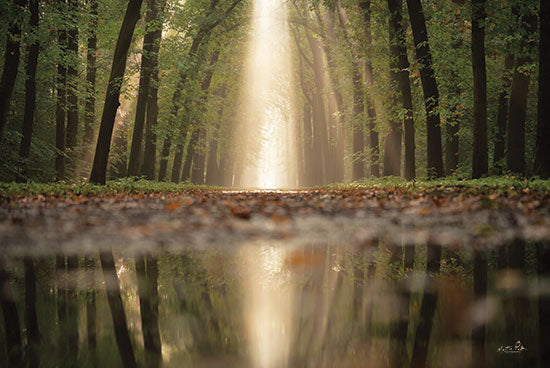 Martin Podt MPP756 - MPP756 - The Puddle - 18x12 Landscape, Pond, Trees, Photography, Sunlight, The Puddle, Nature, Reflection from Penny Lane