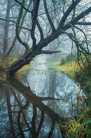 Martin Podt MPP757 - MPP757 - Tree Magic - 12x18 Photography, Creek, Reflection, Trees, Forest, Fog, Nature from Penny Lane