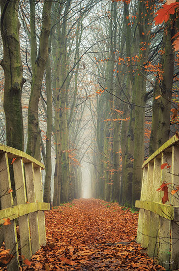 Martin Podt MPP766 - MPP766 - To the End - 12x18 Landscape, Bridge, Forest, Trees, Photography, Fall, Leaves, Red Leaves, To the End from Penny Lane