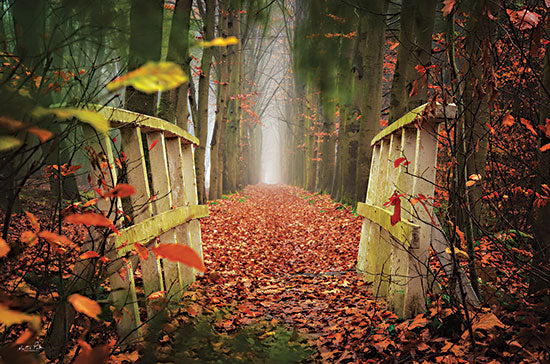Martin Podt MPP767 - MPP767 - A Bridge to Fall - 18x12 Landscape, Bridge, Forest, Trees, Photography, Fall, Leaves, Red Leaves, A Bridge to Fall from Penny Lane