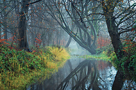 Martin Podt MPP782 - MPP782 - The Creek    - 16x12 Photography, Creek, Trees, Reflection, Leaves from Penny Lane