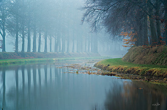 Martin Podt MPP783 - MPP783 - Foggy Reflections    - 16x12 Photography, River, Trees, Fog, Reflection, Nature from Penny Lane