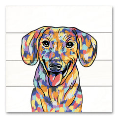 MS209PAL - Rainbow Dachshund - 12x12