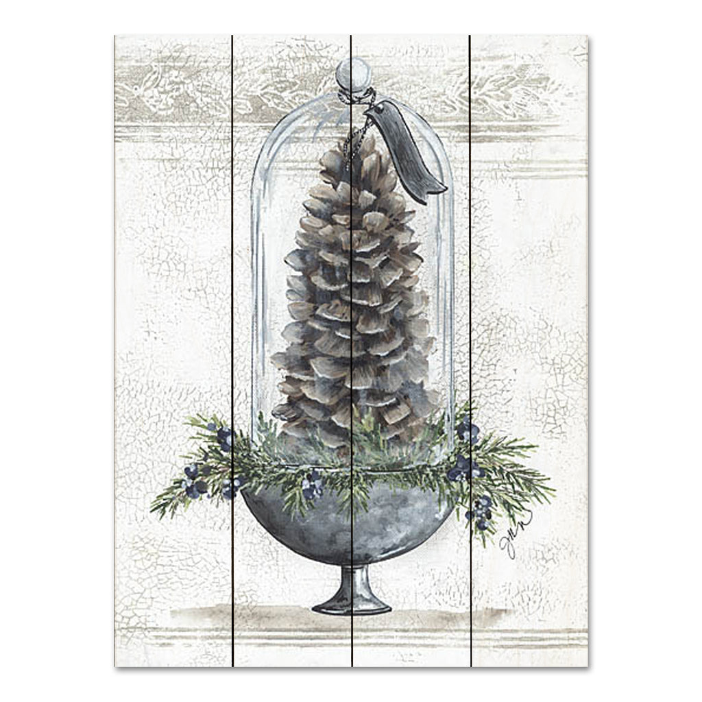 Julie Norkus NOR186PAL - NOR186PAL - Sugar Cone Under Glass - 12x16 Still Life, Nature, Pine Cone, Cloche, Greenery, Patterns from Penny Lane