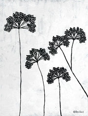 REAR307 - Queen Anne's Lace II - 12x16