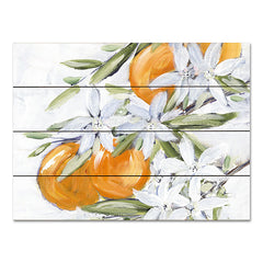 REAR387PAL - Orange Blossoms - 16x12