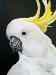 RED157 - White Cockatoo - 12x16