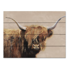 RED165PAL - Highland Cow - 16x12