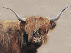 RED165 - Highland Cow - 16x12