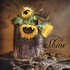 RLV530 - Choose to Shine - 12x12