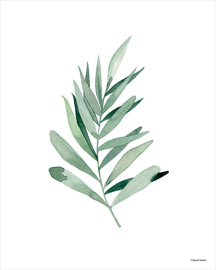 Rachel Nieman RN307 - RN307 - Watercolor Botanical I - 12x16 Botanicals, Greenery, Leaves, Watercolor, Nature from Penny Lane