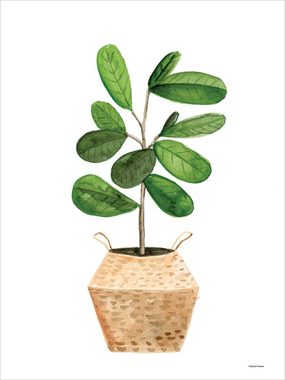 Rachel Nieman RN524 - RN524 - Basket Planter 1 - 12x16 Plant, Green Plant, Potted Plant, Basket, Tropical from Penny Lane