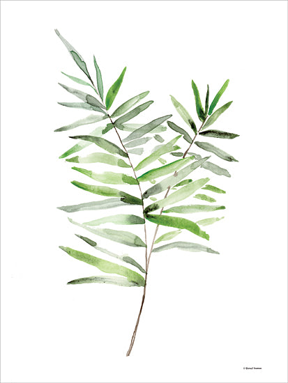 Rachel Nieman RN527 - RN527 - Leafy Stem 1 - 12x16 Greenery, Leaves, Leafy Stem, Watercolor, Botanical from Penny Lane