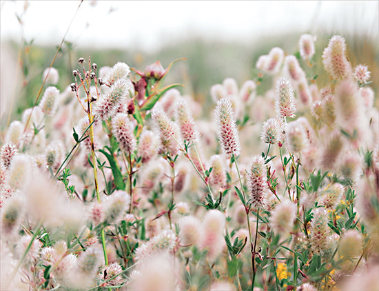 Susan Ball SB1153 - SB1153 - Boho Flower Field - 16x12 Photography, Wildflowers, Pink Wildflowers, Bohemian, Landscape from Penny Lane