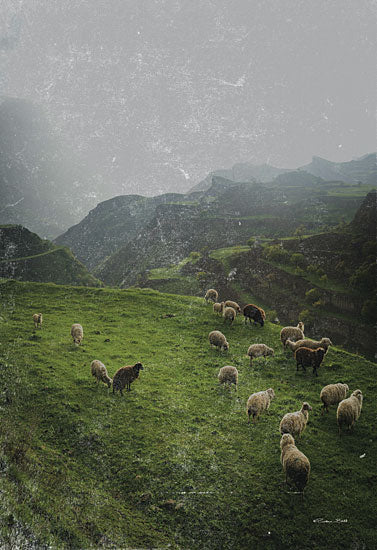 Susan Ball SB1239 - SB1239 - Grazing Sheep - 12x18 Sheep, Grazing, Hills, Green Pastures, Landscape, Vintage, Photography, Nature from Penny Lane