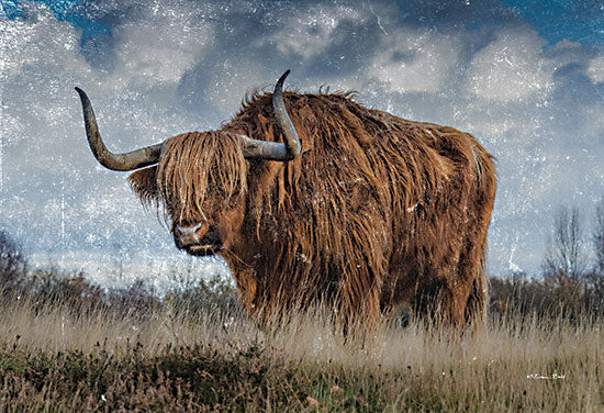 Susan Ball SB1244 - SB1244 - Highland Bull Vintage 2 - 18x12 Highland Bull, Photography, Field, Vintage, Landscape from Penny Lane