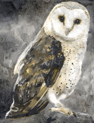 SDS1007 - Snowy Owl 2 - 12x16