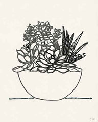 SDS435 - Succulent Basket I - 12x16