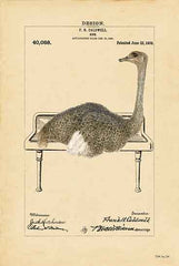 SDS453 - Ostrich in Sink - 12x18