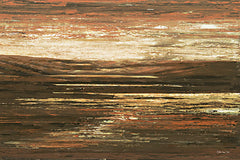 SDS865 - Desert Shadows - 16x12