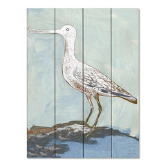 SDS907PAL - Sea Bird 2 - 12x16