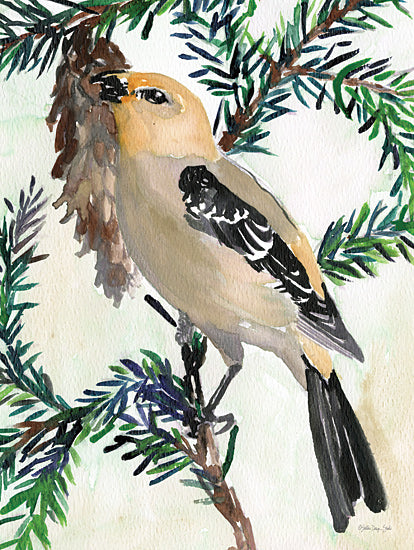 Stellar Design Studio SDS979 - SDS979 - Bird and Branch 2 - 12x16 Bird, Wild Finch, Yellow Bird, Pine Branch, Pinecone, Nature from Penny Lane