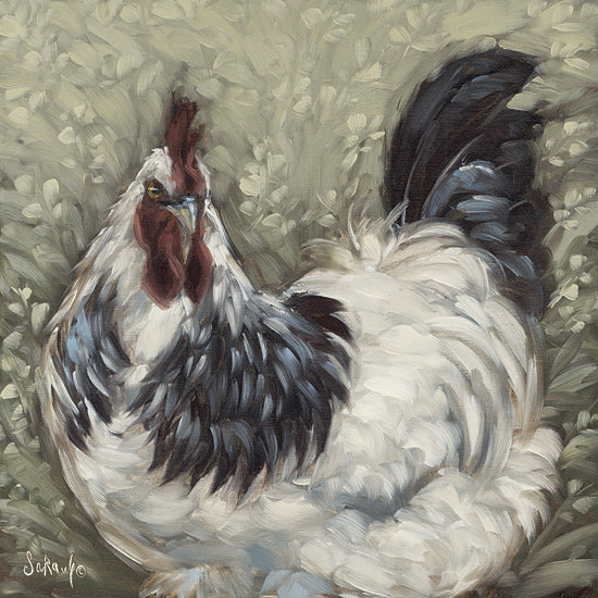 Sara G. Designs SGD199 - SGD199 - Farm Fellow I - 12x12 Rooster, Farm Animal, Portrait,  Brush Strokes from Penny Lane