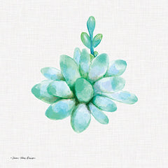 ST160 - Succulent Trio I