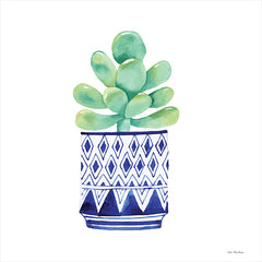 ST803 - The Cacti - 12x12