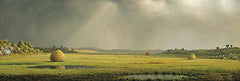 ST865 - Sun and Rain   - 18x6