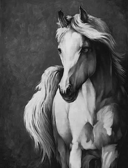 White Ladder WL183 - WL183 - White Horse  - 12x18 Horse, White Horse, Portrait, Animal, Black & White from Penny Lane