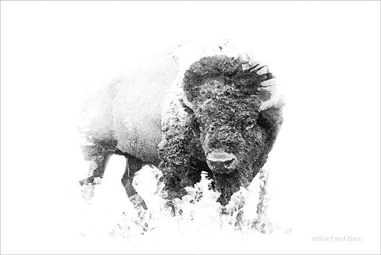 Bluebird Barn BLUE112 - Bold Minimalist Bison - 18x12 Bison, Buffalo, Black & White, Filter from Penny Lane