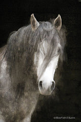 BLUE260 - Gypsy Vanner Mystique   - 12x18