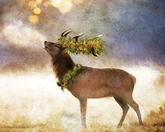BLUE264 - Holly and Ivy Stag - 16x12