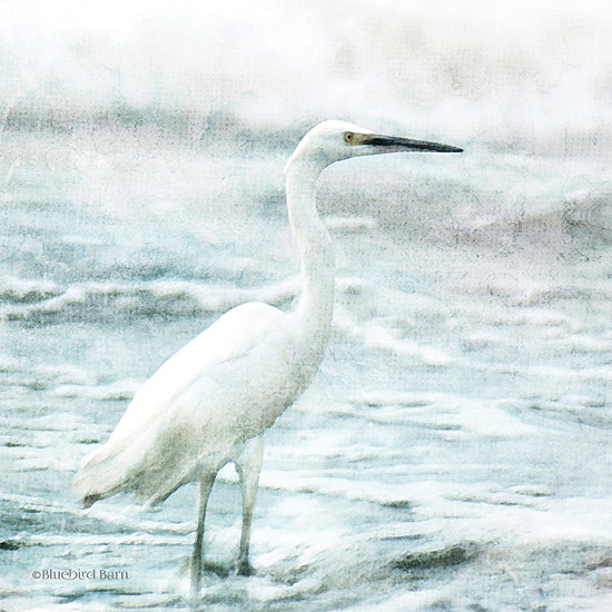 Bluebird Barn BLUE351 - BLUE351 - Coastal Heron - 12x12 Heron, Beach, Coastal, Bird, Photography from Penny Lane