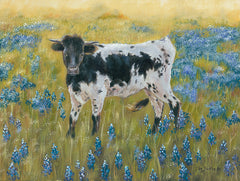 BR473 - Cutie in the Bluebonnets - 16x12